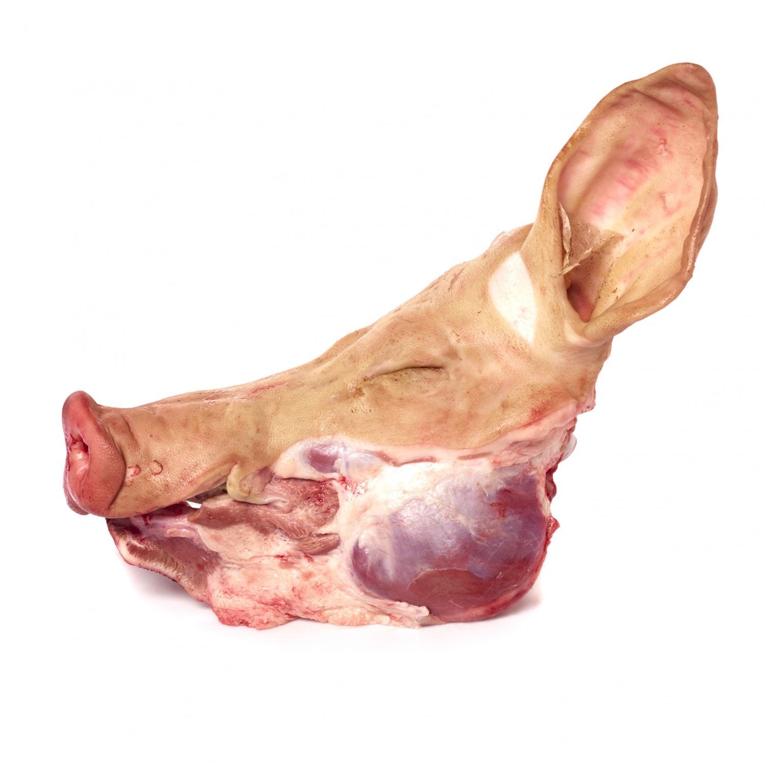 Varkenskop